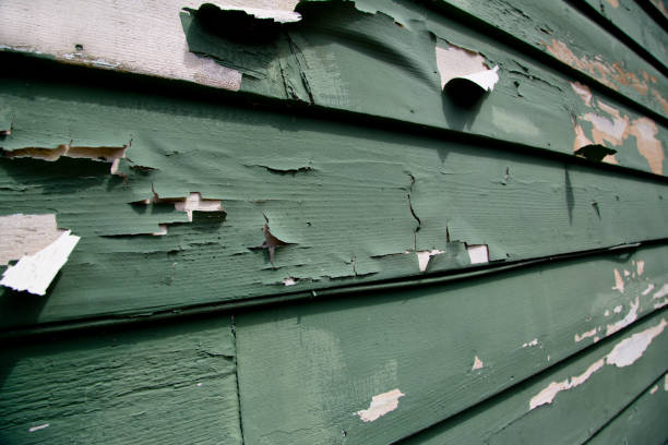 Best Commercial Junk Removal  in Russellville, AL