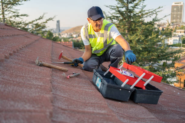 Best Hoarding Cleanup  in Russellville, AL